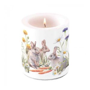 AMB.29318250 Carrot treat átvilágítós gyertya 10x10cm