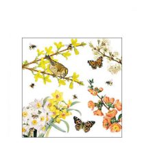   AMB.12518400 Spring awakening papírszalvéta 25x25cm, 20db-os