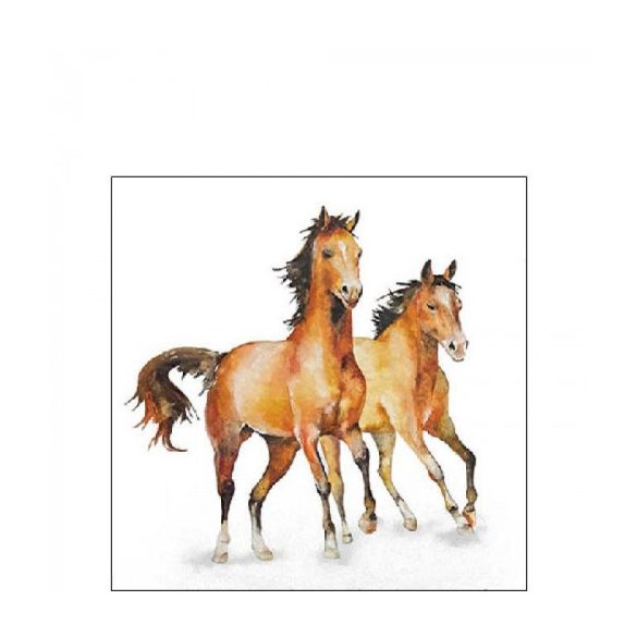 AMB.12518445 Wild horses papírszalvéta 25x25cm, 20db-os