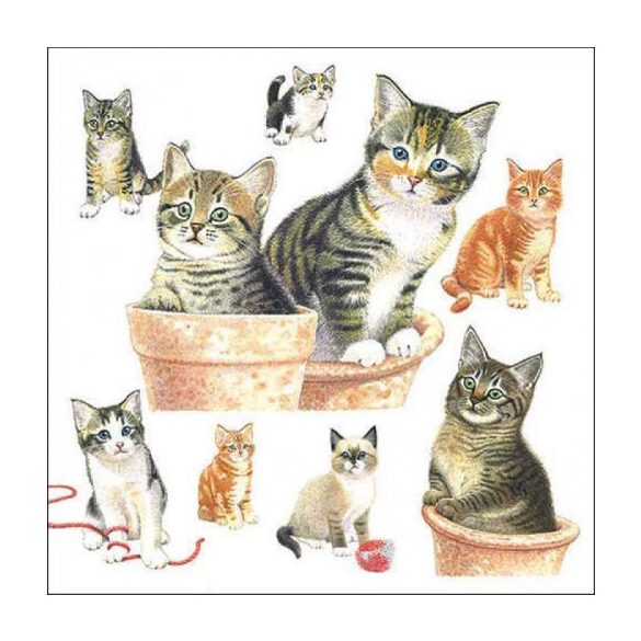 AMB.13318550 Cute kittens papírszalvéta 33x33cm, 20db-os