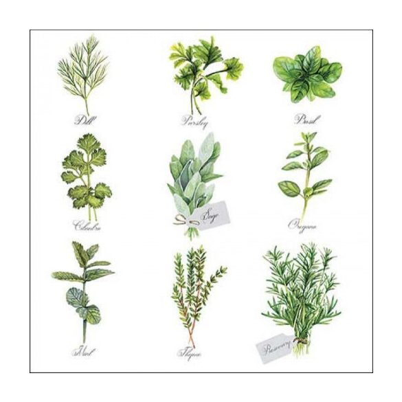 AMB.13318560 Herb selection papírszalvéta 33x33cm, 20db-os