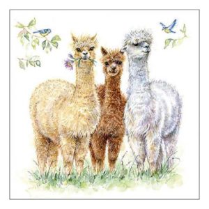 AMB.13318570 Alpaca friends papírszalvéta 33x33cm, 20db-os