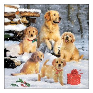 AMB.33318885 Golden retriever puppies papírszalvéta 33x33cm, 20db-os