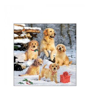 AMB.32518885 Golden retriever puppiees papírszalvéta 25x25cm, 20db-os