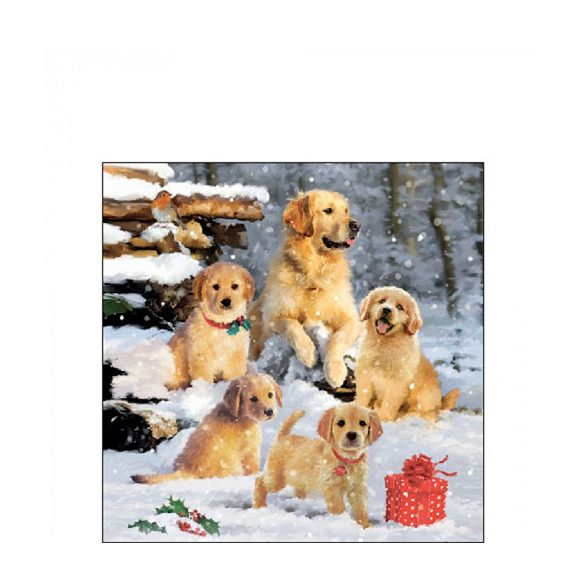 AMB.32518885 Golden retriever puppiees papírszalvéta 25x25cm, 20db-os