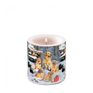 AMB.39218885 Golden retriever puppies átvilágítós gyertya 8x7,5cm