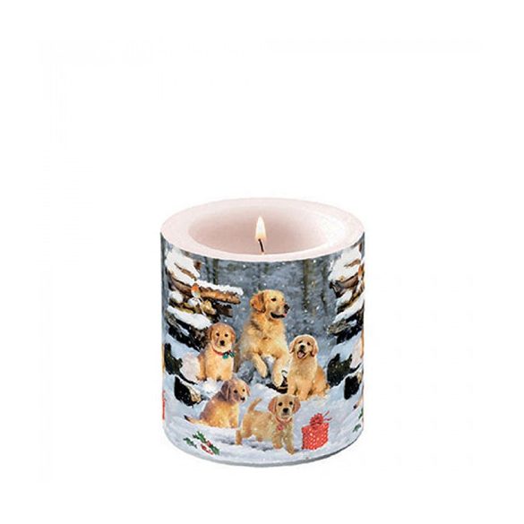 AMB.39218885 Golden retriever puppies átvilágítós gyertya 8x7,5cm