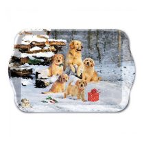   AMB.33718885 Golden retriever puppies műanyag kistálca 13x21cm