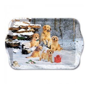 AMB.33718885 Golden retriever puppies műanyag kistálca 13x21cm