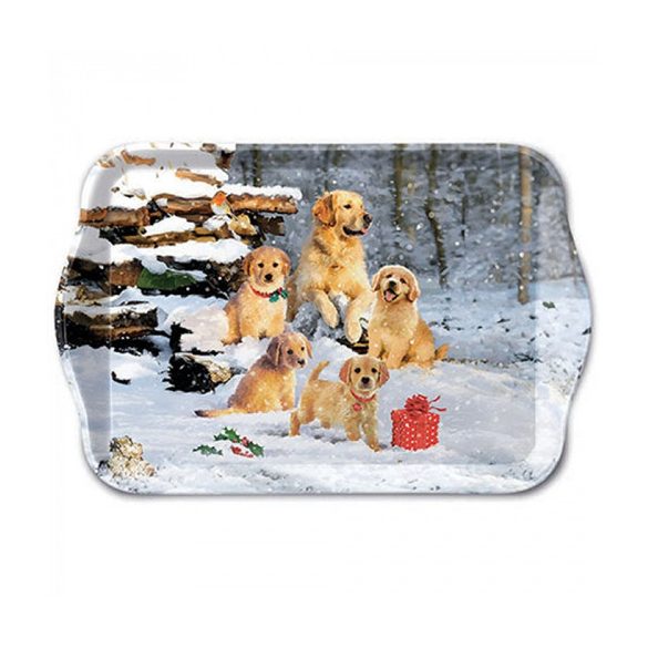 AMB.33718885 Golden retriever puppies műanyag kistálca 13x21cm