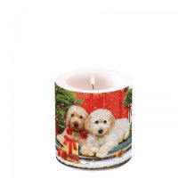   AMB.39218060 Dogs at the door átvilágítós gyertya 8x7,5cm
