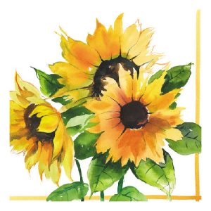 AMB.13306555 Girasoli papírszalvéta 33x33cm,20db-os