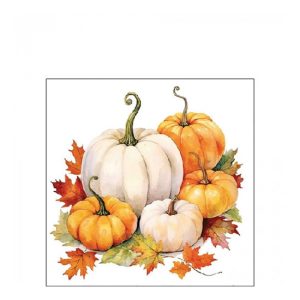 AMB.12518815 Pumpkin season papírszalvéta 25x25cm, 20db-os