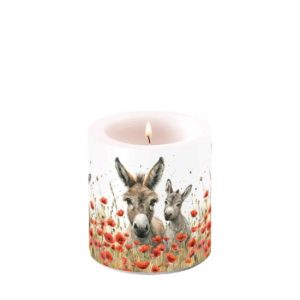 AMB.19220405 Lilly & Lou átvilágítós gyertya 8x7,5cm 