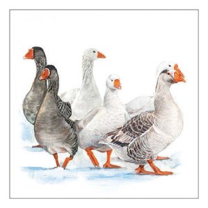 AMB.33319290 Winter geese papírszalvéta 33x33cm, 20db-os