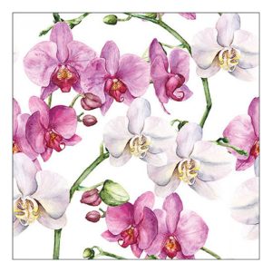 AMB.13319605 Elegant orchids white papírszalvéta 33x33cm, 20db-os