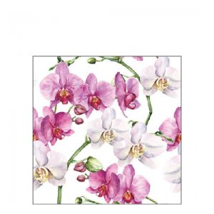 AMB.12519605 Elegant orchids white papírszalvéta 25x25cm,20db-os