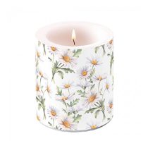   AMB.19319545 Beautiful daisies white átvilágítós gyertya 10x10cm
