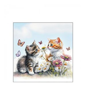 AMB.12519355 Kittens in flower field papírszalvéta 25x25cm,20db-os