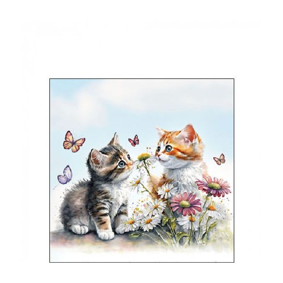 AMB.12519355 Kittens in flower field papírszalvéta 25x25cm,20db-os