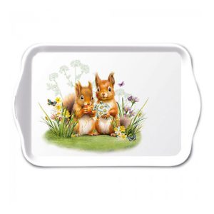 AMB.13719465 Little squirels műanyag kistálca 13x21cm