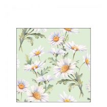   AMB.12519546 Beautiful daisies green papírszalvéta 25x25cm,20db-os