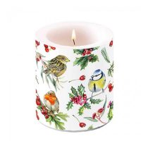   AMB.39319955 Birds in Winter átvilágítós gyertya 10x10xcm