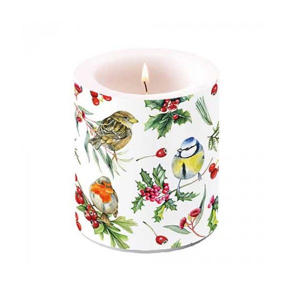 AMB.39319955 Birds in Winter átvilágítós gyertya 10x10xcm