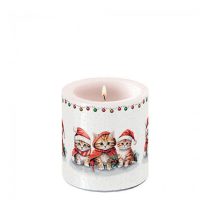   AMB.39219105 Funny cute kittens átvilágítós gyertya 8x7,5cm