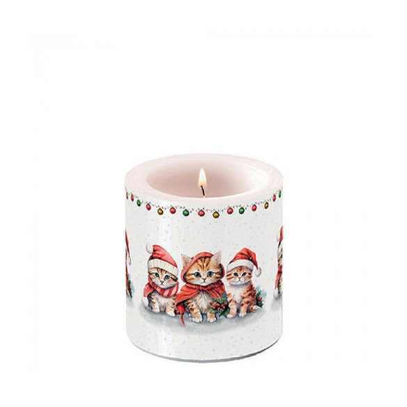 AMB.39219105 Funny cute kittens átvilágítós gyertya 8x7,5cm