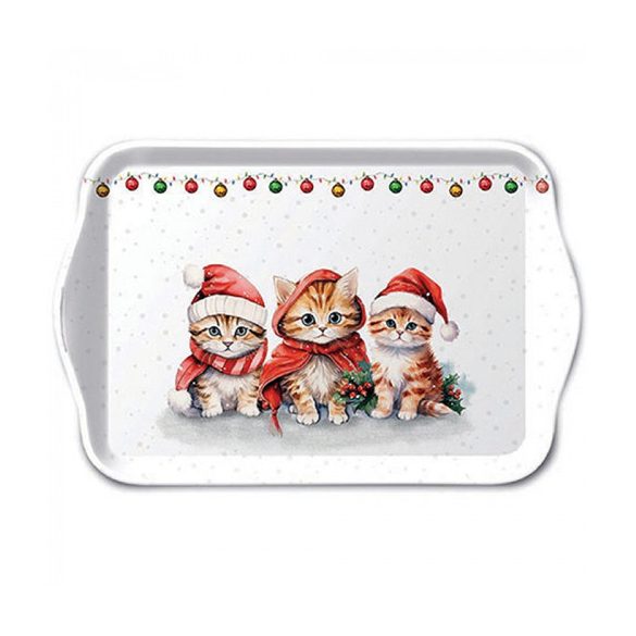 AMB.33719105 Funny cute kittens műanyag kistálca 13x21cm