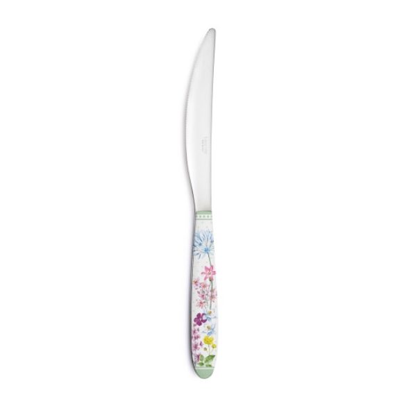 R2S.2271FLRA Rozsdamentes kés műanyag dekorborítású nyéllel,Floraison