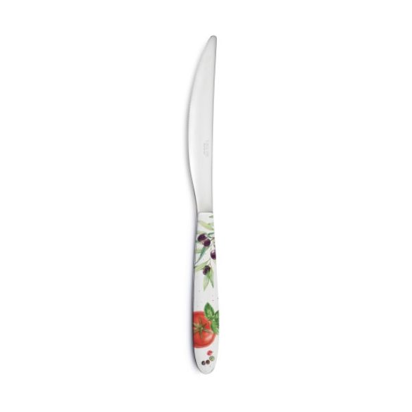 R2S.2271HOMK Rozsdamentes kés műanyag dekorborítású nyéllel,Home & Kitchen