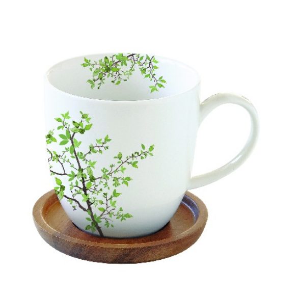 R2S.1080NTRA Porcelánbögre akácfa alátéttel, 350ml, dobozban, Natura